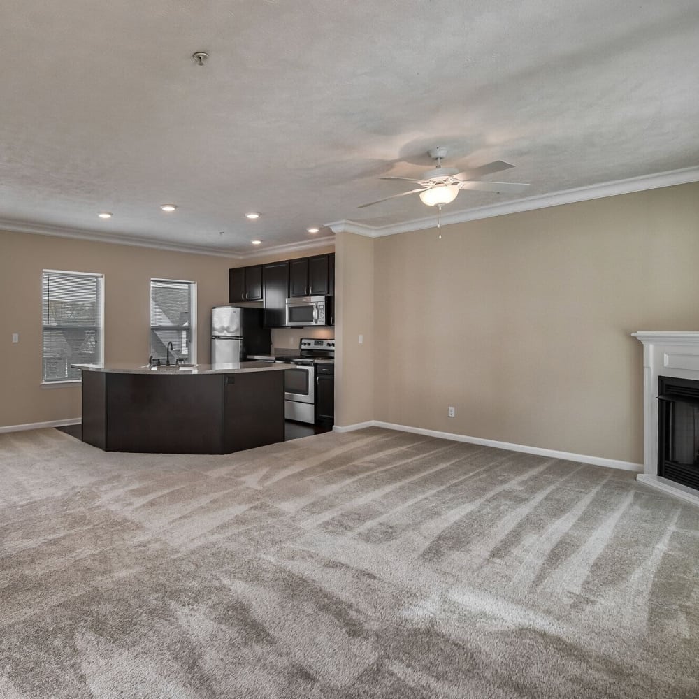 Apartment with carpet and fireplace at Clinton Lake, Clinton, Pennsylvania