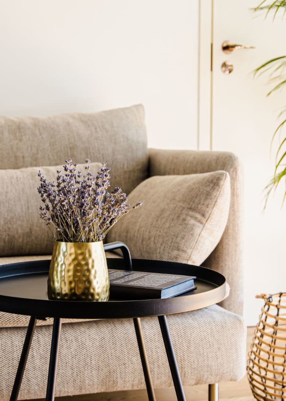 Comfy sofa in model apartment at North Eden Townhomes in Columbus, Ohio