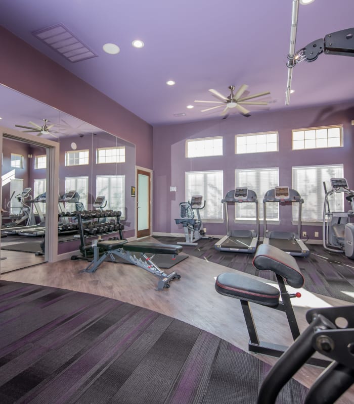 Fitness center at Portico at Friars Creek Apartments in Temple, Texas