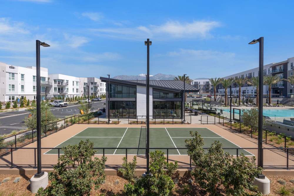 Pickleball Court