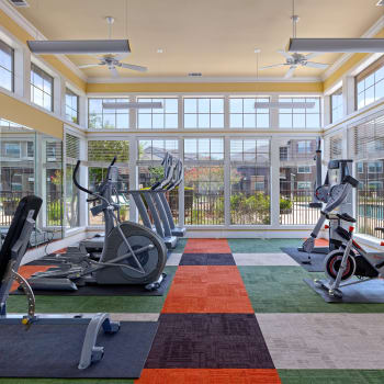 Fitness Center at Cypress Creek at Fayridge in Houston, Texas