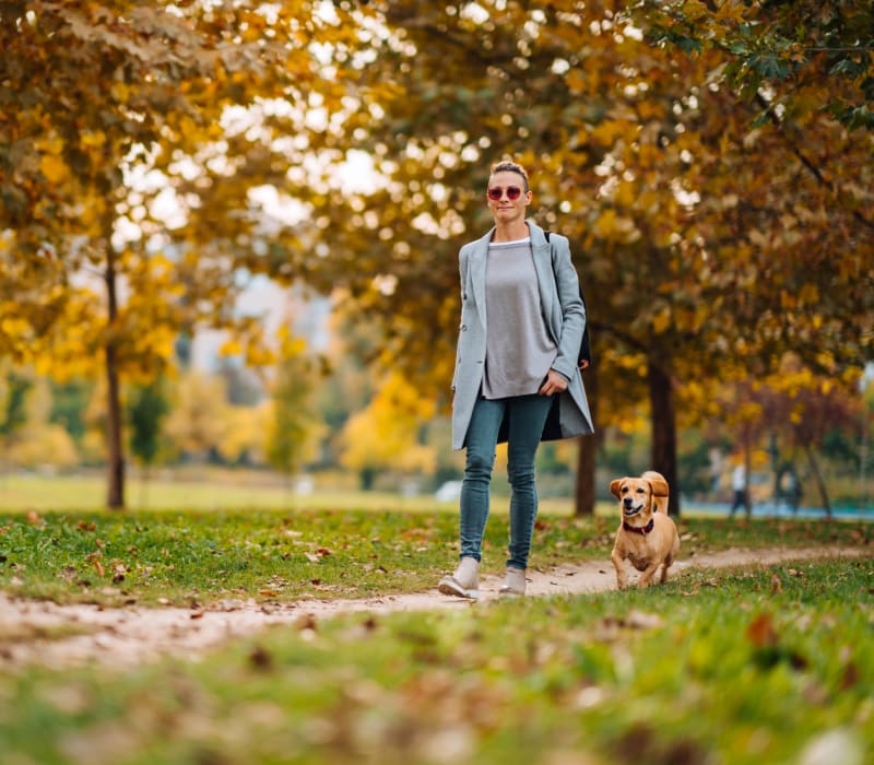 Resident walking her dog in a park near The Marq at Brookhaven in Atlanta, Georgia