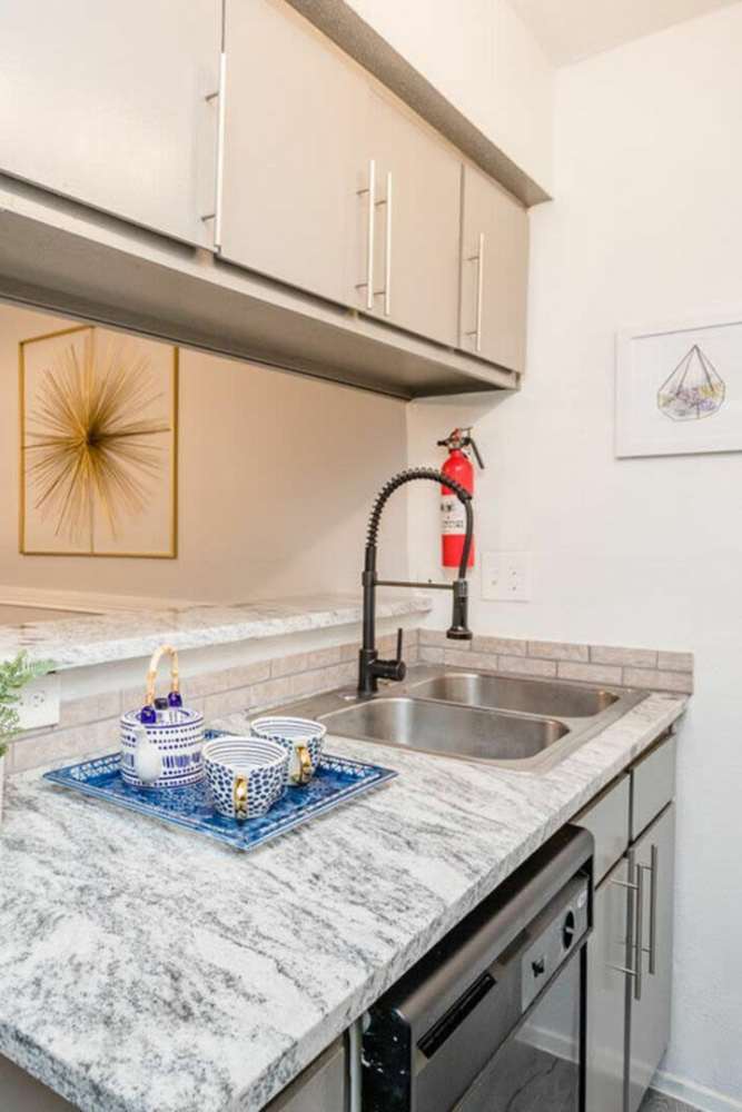 Dishwasher at Ridge Point in Houston, Texas