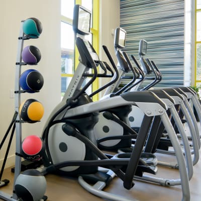 Ellipticals for resident use at Domus on the Boulevard in Mountain View, California