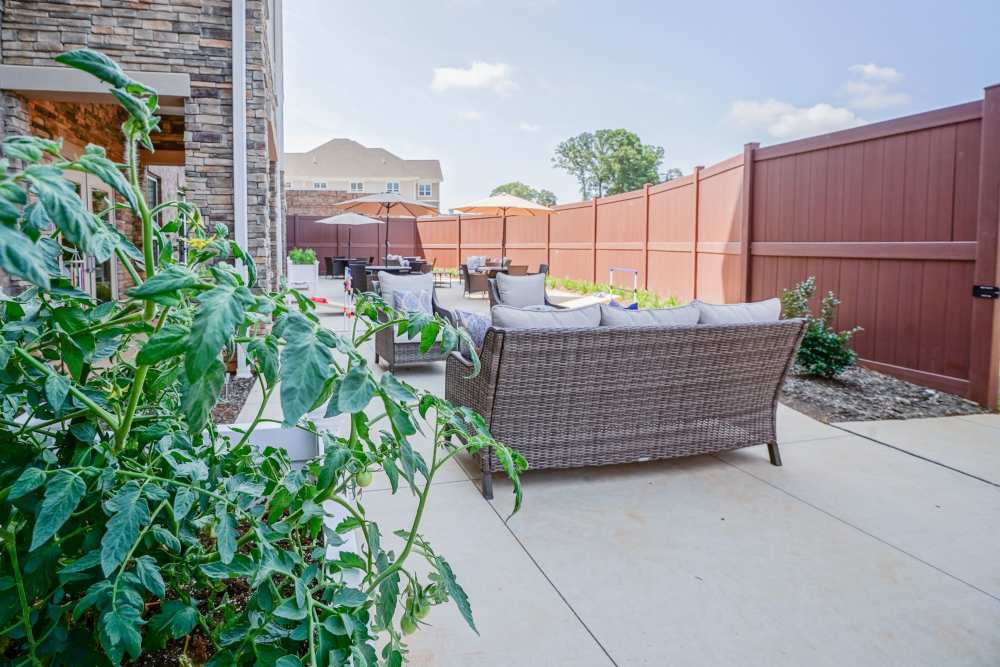 Community patio at Harmony at Brookberry Farm in Winston-Salem, North Carolina