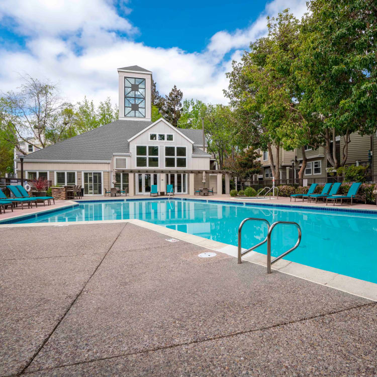 Resort-style swimming pool with shaded seating nearby at Sofi Sunnyvale in Sunnyvale, California