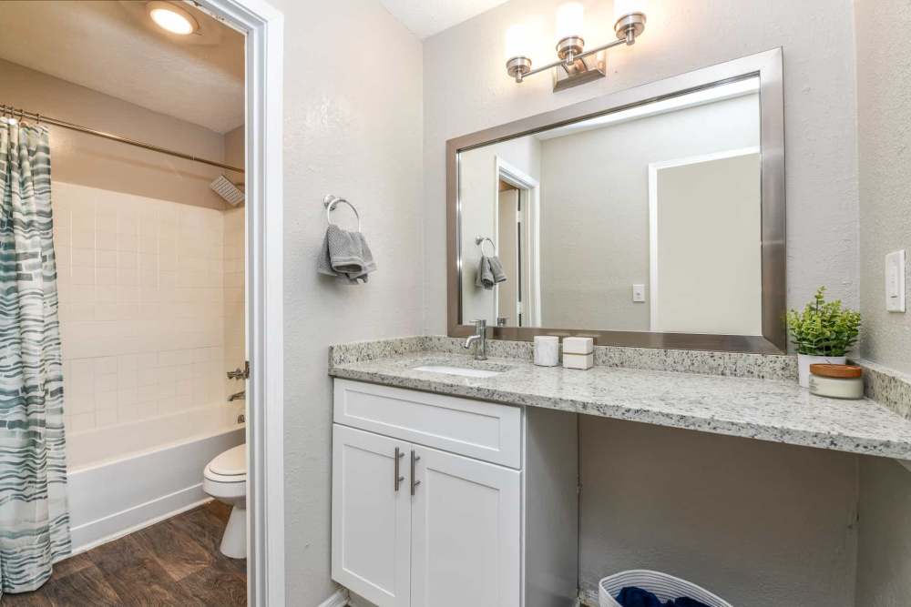 Bright bathroom with vanity light, mirror, sink, storage space, commode and bathtub at Preserve at Dunwoody in Dunwoody, Georgia