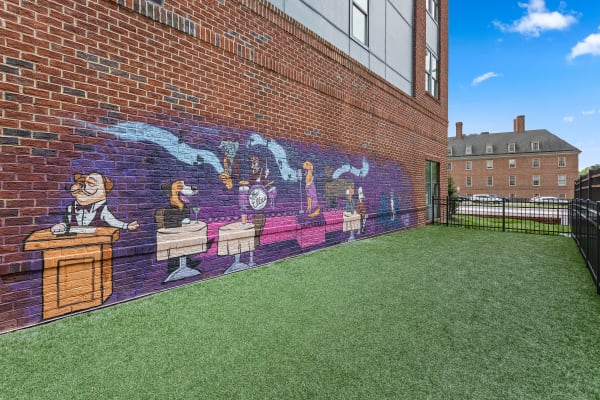 Private dog park at The Ella Scott's Addition in Richmond, Virginia