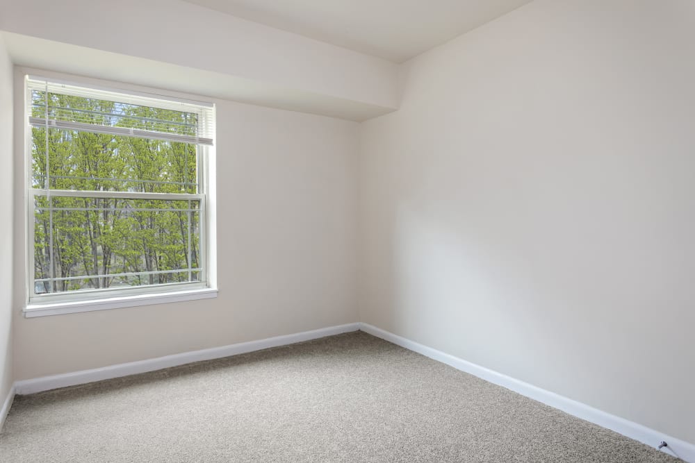 Carpeted bedroom with window overlooking trees at Creekside Village in Alexandria, Virginia