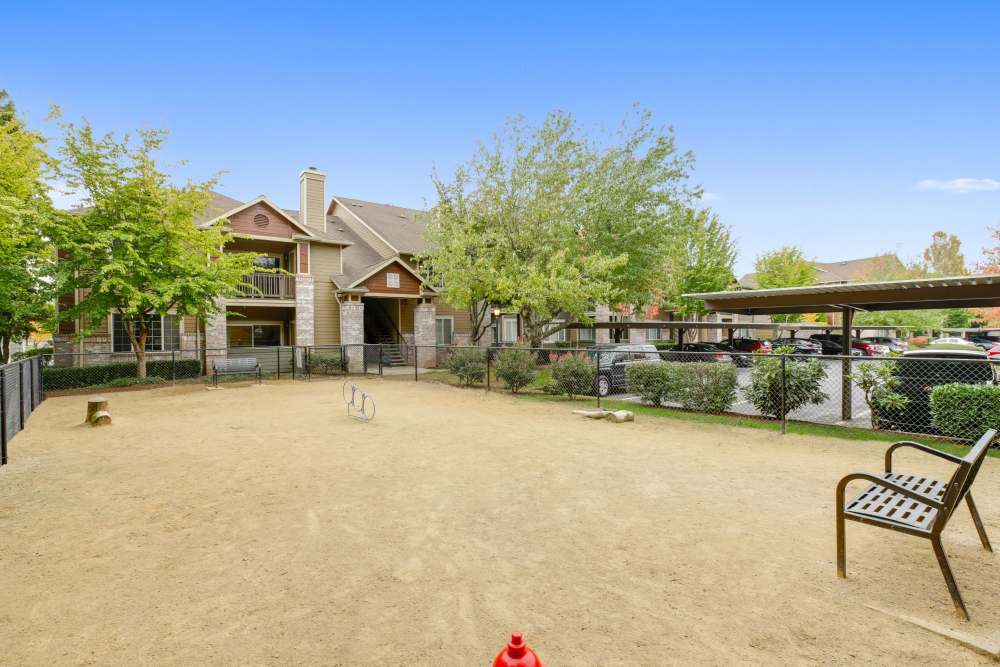 A dog park at The Grove at Orenco Station in Hillsboro, Oregon