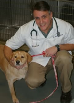 Dr. Brett Wood at Willow Run Veterinary Clinic in Willow Street, Pennsylvania