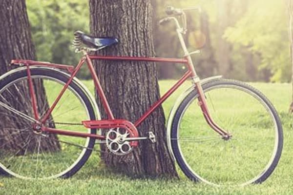 Bike resting on a tree near Avon Commons in Avon, New York