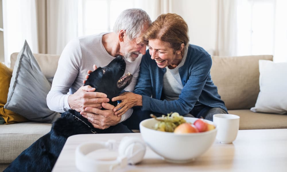 A resident couple and their dog at Ativo Senior Living of Prescott Valley in Prescott Valley, Arizona