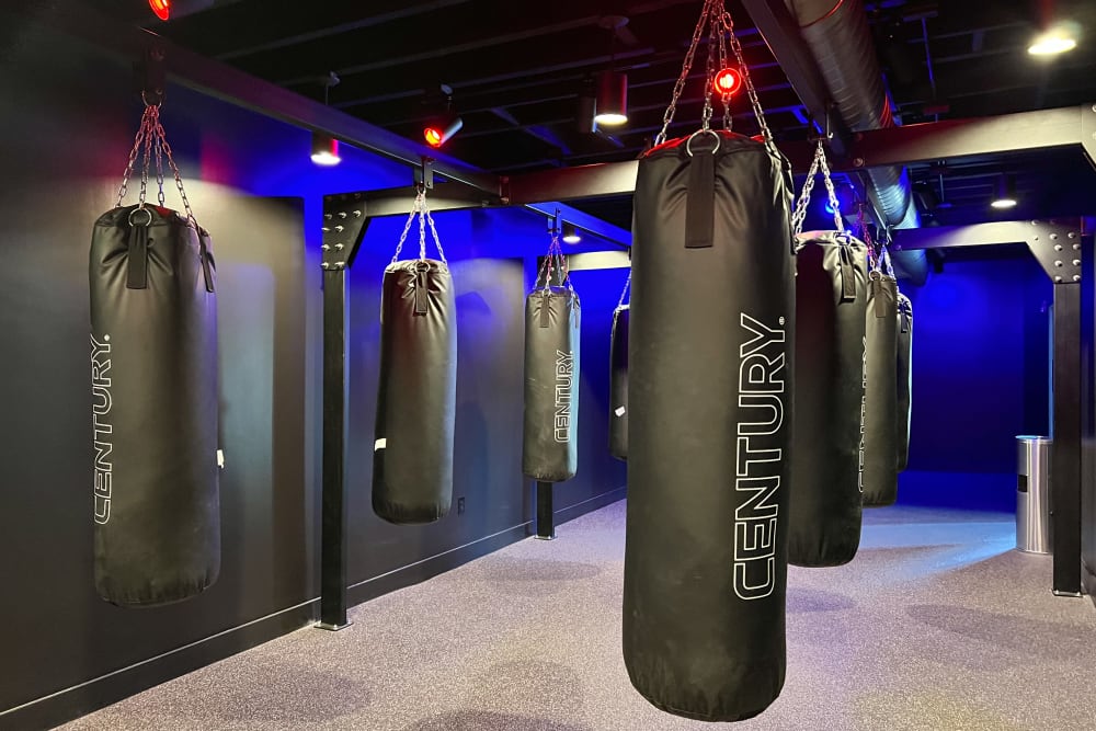 Rendering fitness center at Lofts at Riverwalk in Columbus, Georgia