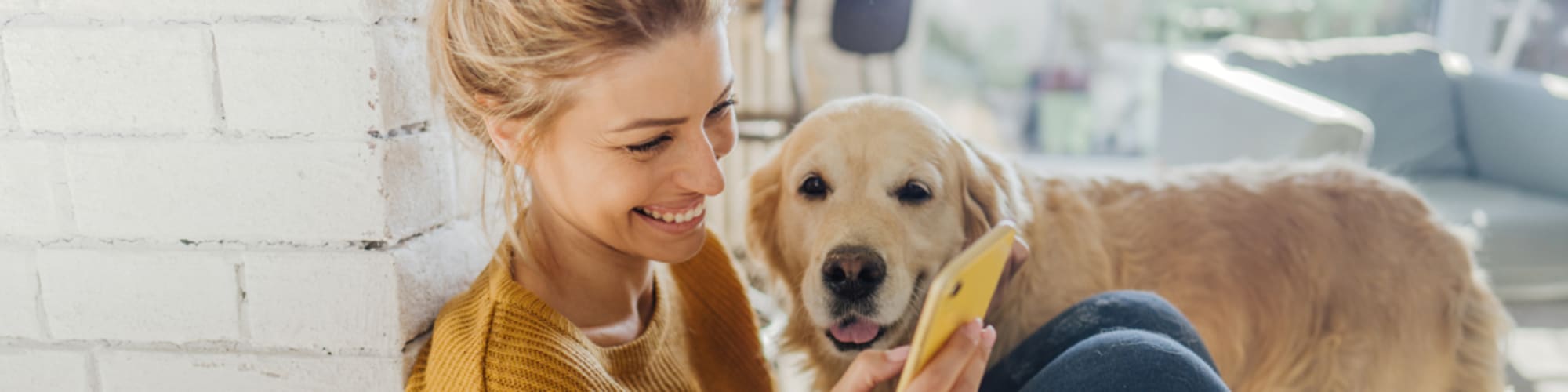 Pet-friendly apartments at BB Living Civic Square in Goodyear, Arizona