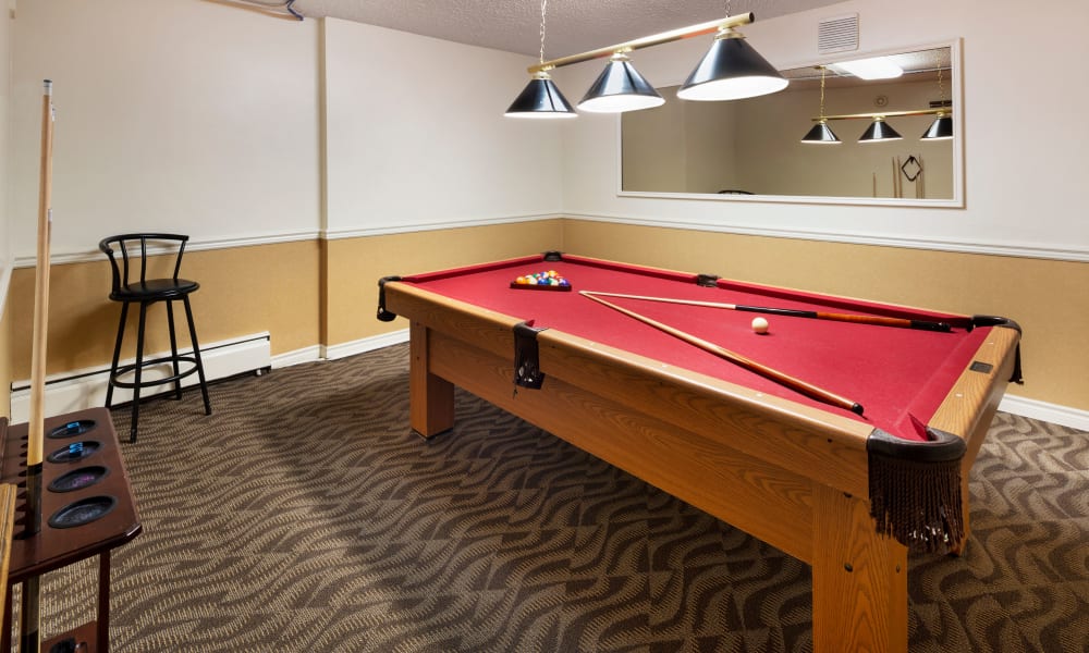 Metrotown Apartments for Rent in Burnaby, BC Panarama Tower