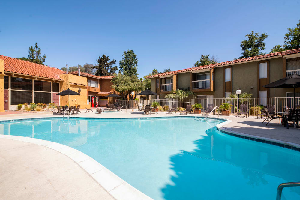 Community Amenities at Alvista on Baltimore