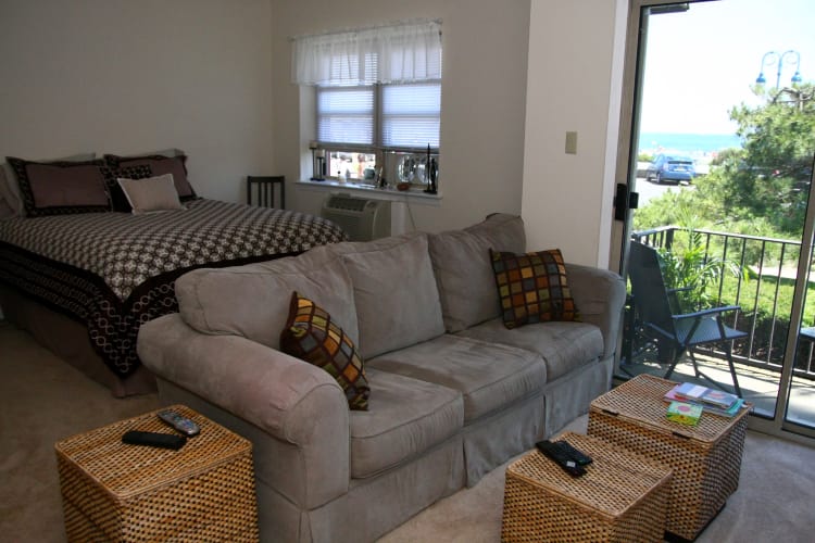 Model living room at Ocean Harbor Apartments with a kitty cat!