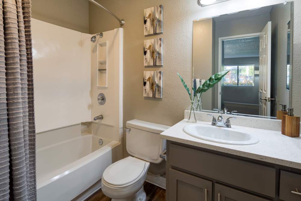Bright bathroom with vanity light, mirror, sink, commode and bathtub at Falls at Arden in Sacramento, California