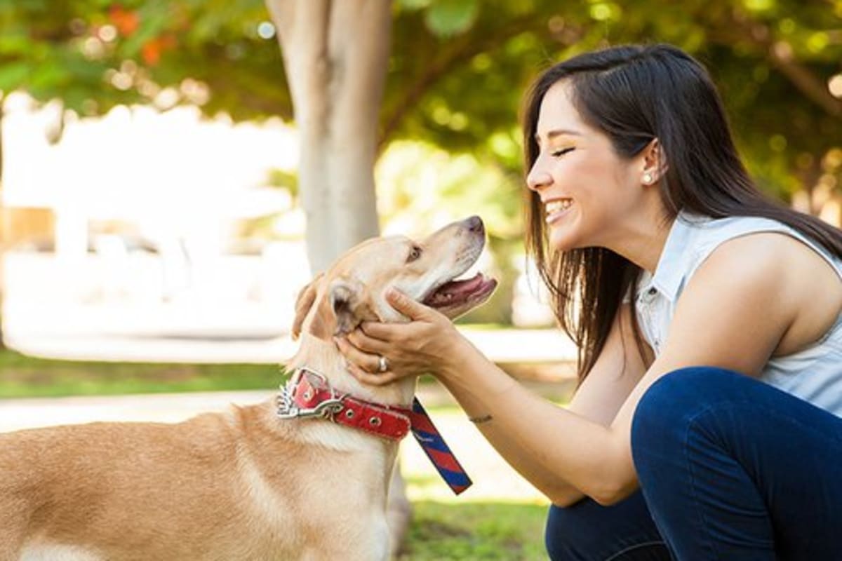 Woman petting a dog at Arborgate Apartments Homes in Charlotte, North Carolina