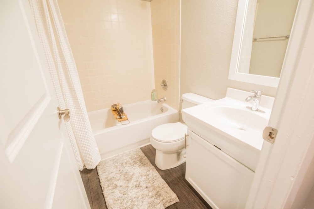 Bathroom area with hardwood floor and small shower rug at Berkshire 54 in Carrboro, North Carolina