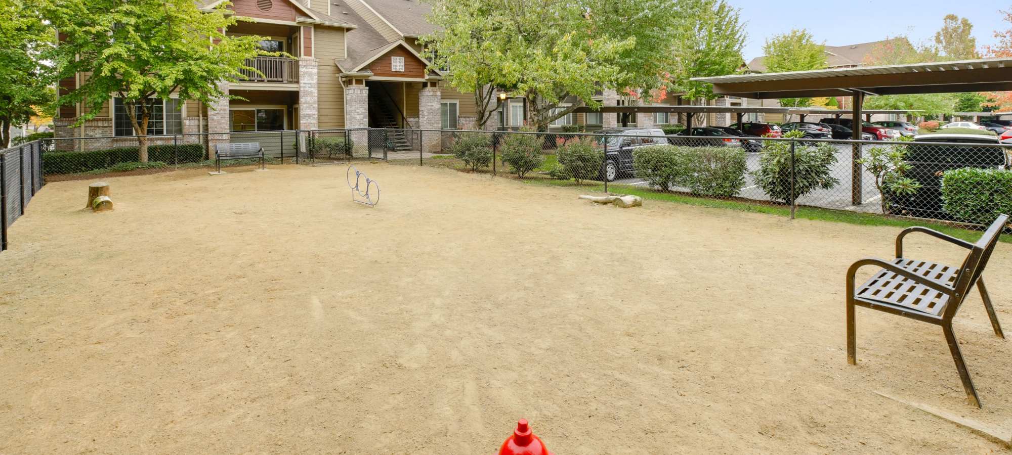 Pet Friendly at The Grove at Orenco Station in Hillsboro, Oregon