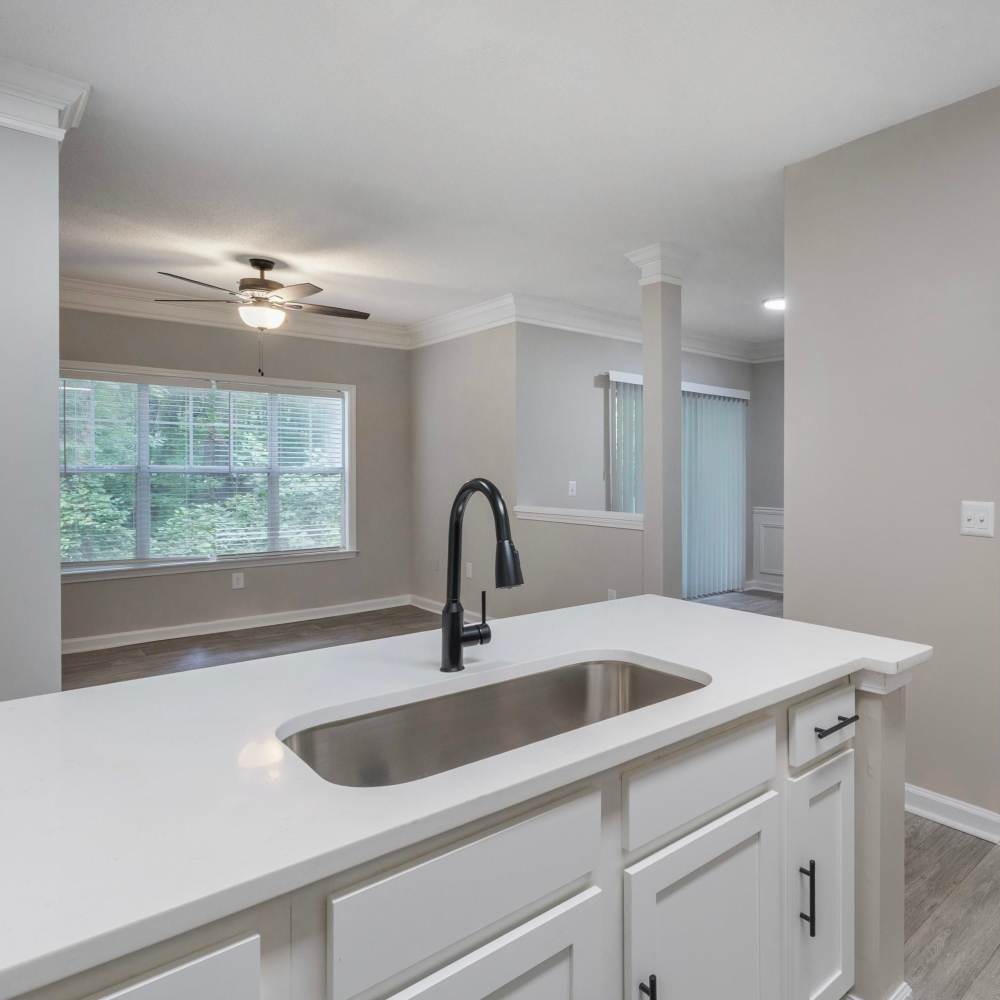 Open Concept Kitchen