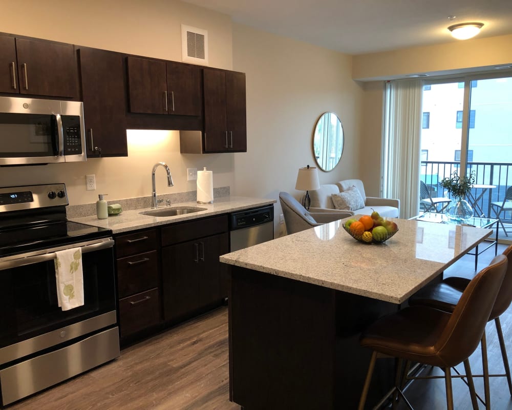 Kitchen with appliances and granite cabinets at The Pillars of Prospect Park in Minneapolis, Minnesota