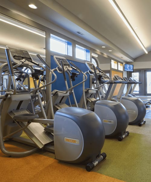 Cardio equipment in the fitness center at Lakeside Terraces in Sterling Heights, Michigan