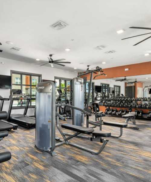 Fitness center at The Wyatt, Gilbert, Arizona 