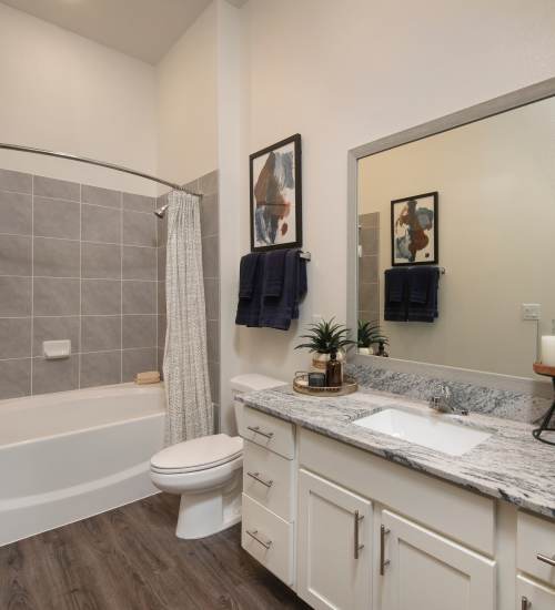 Modern bathroom with sink, commode and bathtub at Orleans at Fannin Station in Houston, Texas