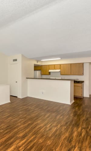 Move-in ready apartment with hardwood style flooring at Lakeview in Fort Worth, Texas