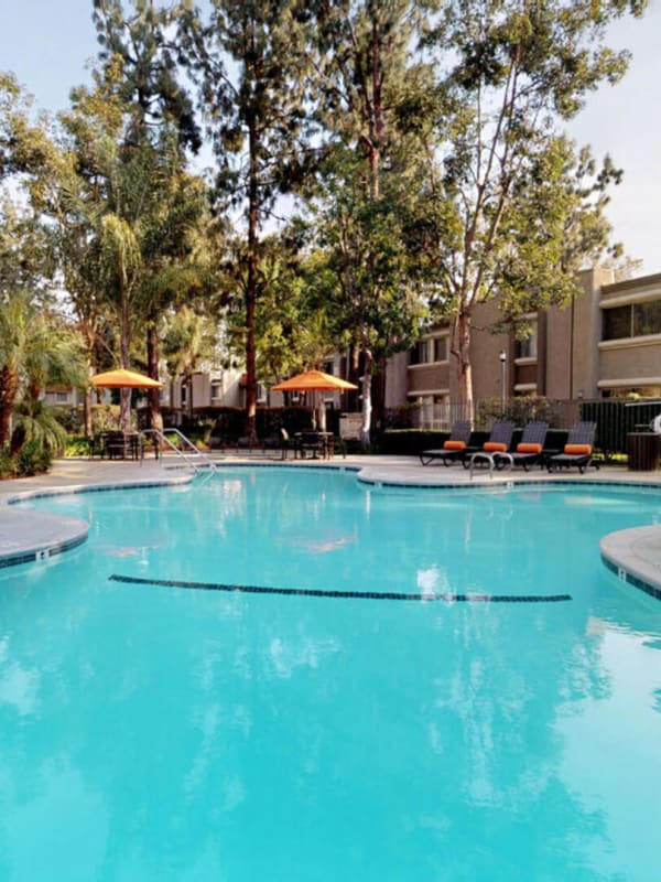 Pool with lounge chairs surrounded by trees at Mountain View San Dimas in San Dimas, California