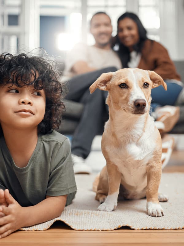 Family with their dog at Elements on Third in St Petersburg, Florida