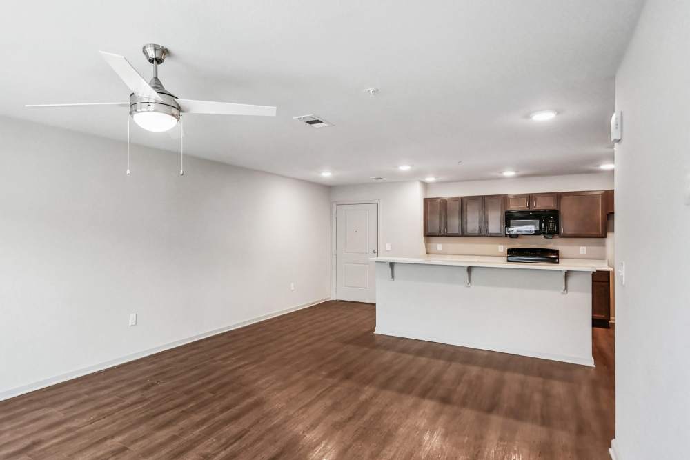 Wood-style flooring at Flats at Mount Zion in Stockbridge, Georgia
