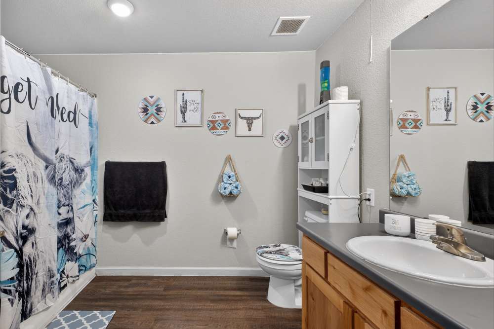 Vibrant and inviting bathroom featuring charming decor and modern amenities at Lakewood Crossing in Granbury, Texas.