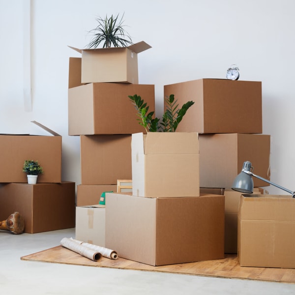 boxes ready to be stored at Storage Near Me