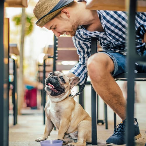 Man with his dog dining near One305 Central in Charlotte, North Carolina