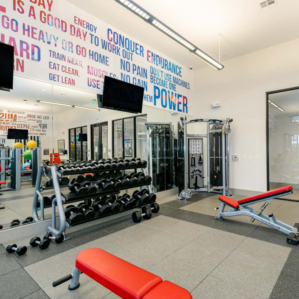 Well-equipped gym at NOVU New Forest in Houston, Texas