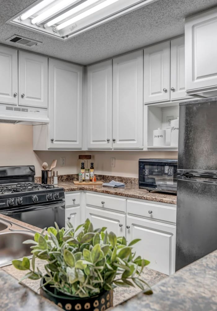 A stainless steel stove in a kitchen at Adrian On Riverside in Macon, Georgia