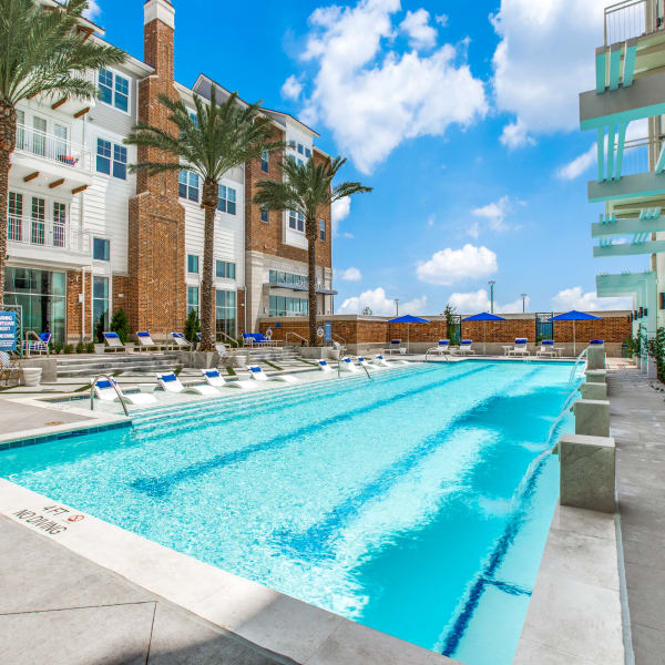 Pool 255 Assay in Houston, Texas