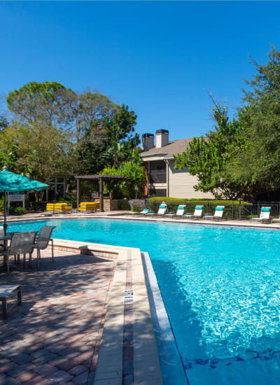 Resort-Style Swimming Pool at 4800 Westshore in Tampa, Florida