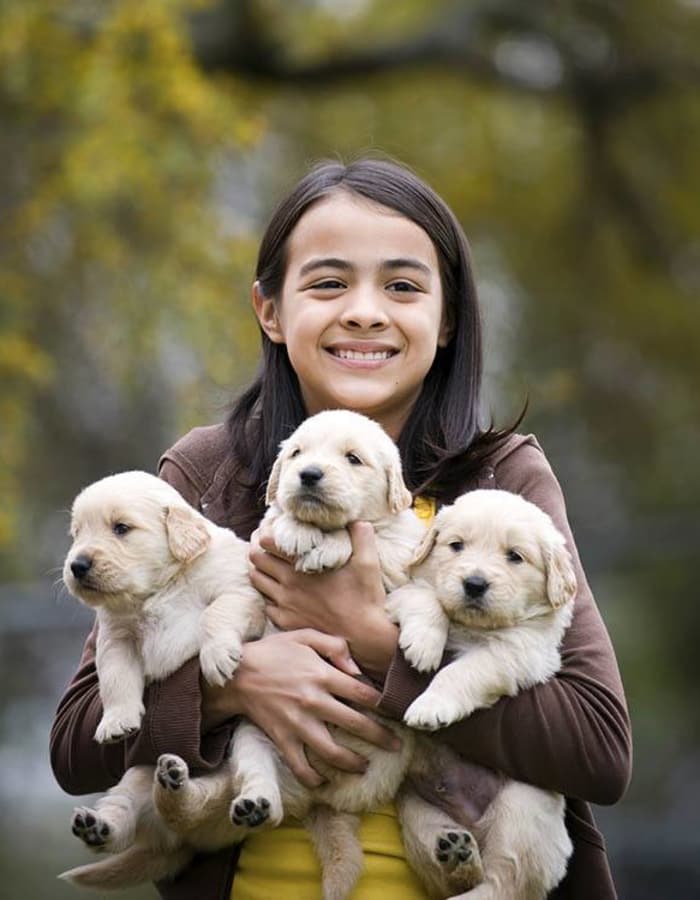 Child with armful of puppies at Arizona Avenue Animal Clinic in Chandler, AZ