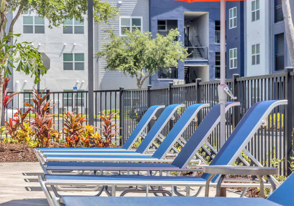 Pool loungers at Citrus Run Apartments in Tampa, Florida