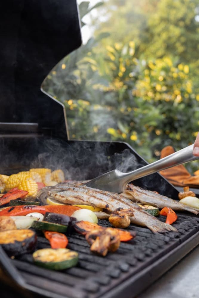 Grilling area at Valley Pride Village in Sylmar, California