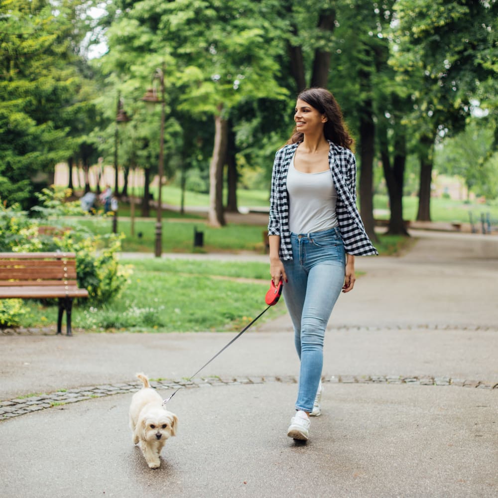 A resident walking her pup at Solaire 7077 Woodmont in Bethesda, Maryland
