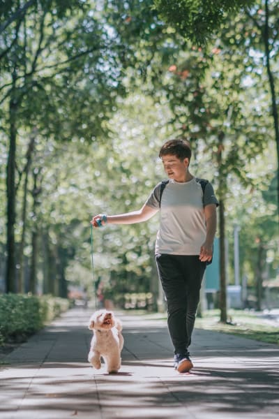 Resident boy walking his dog near West 38 in Wheat Ridge, Colorado