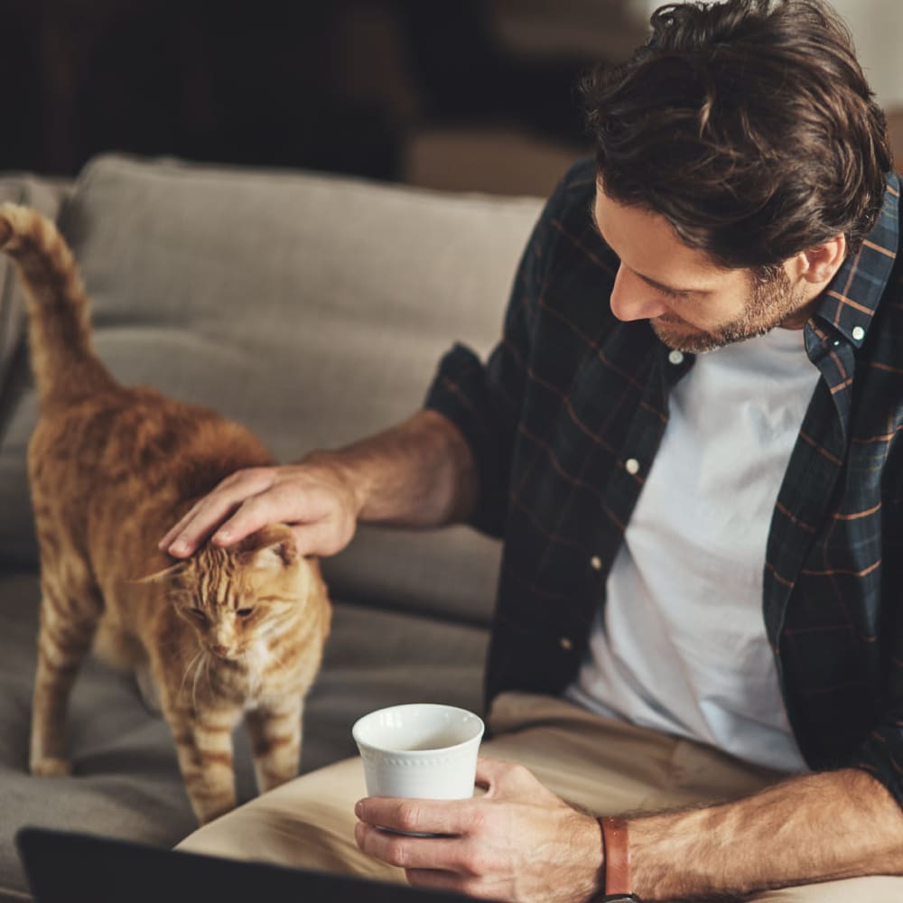 Resident petting his cat while enjoying his morning coffee in their apartment at Oaks Hiawatha Station in Minneapolis, Minnesota