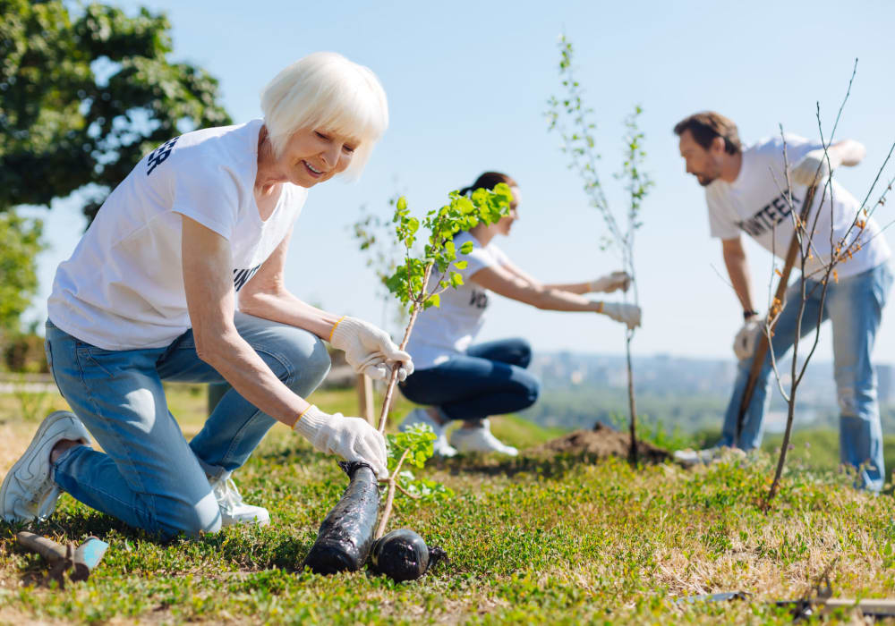 Engage and contribute at Maplewood at Twinsburg Twinsburg
