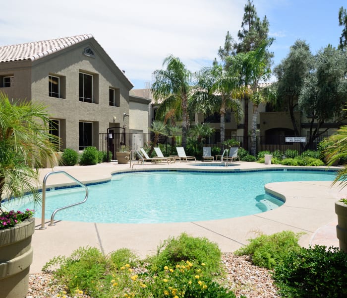 Beautiful swimming pool area at Lumiere Chandler in Chandler, Arizona